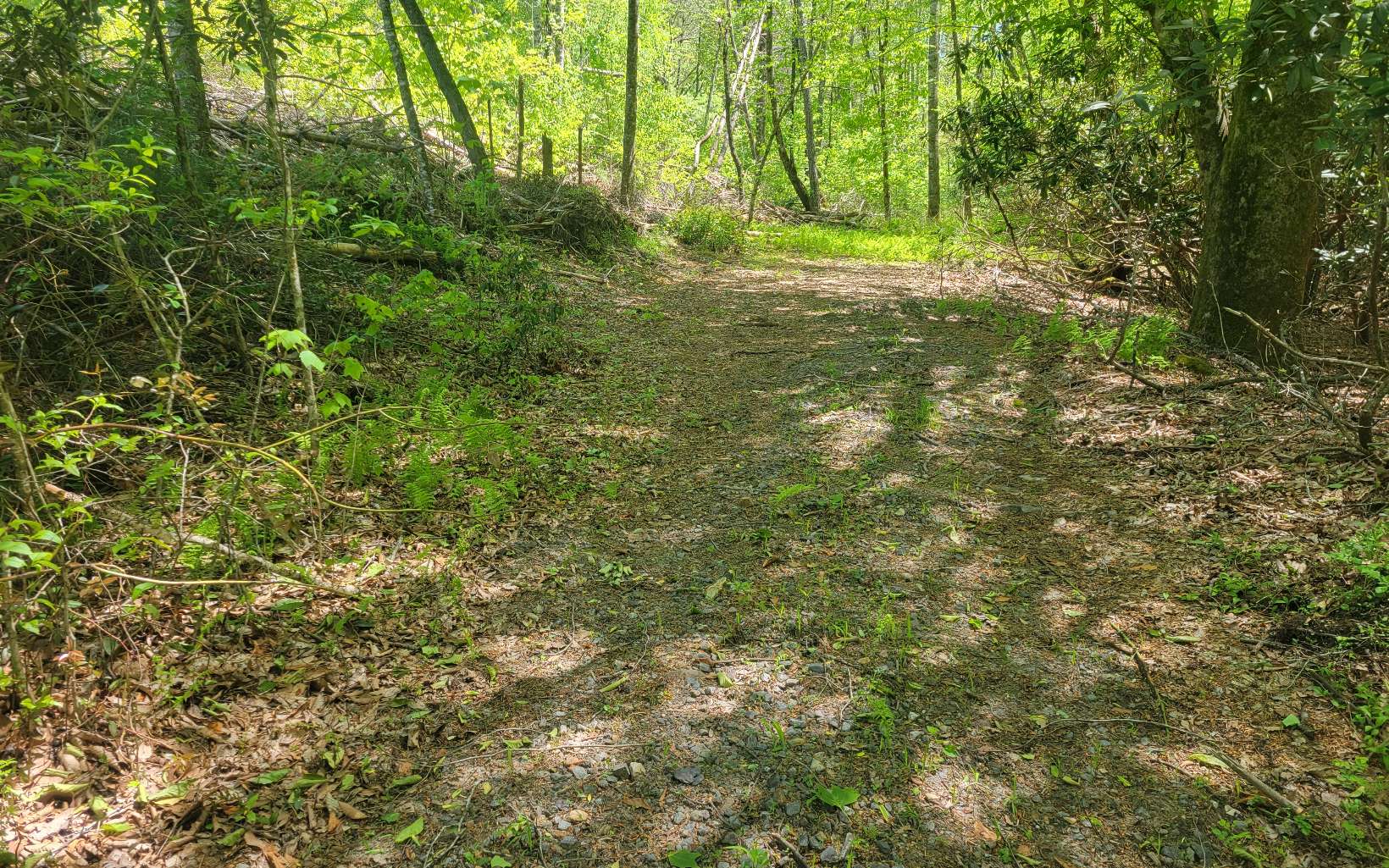 326217 Hayesville River Access Lot