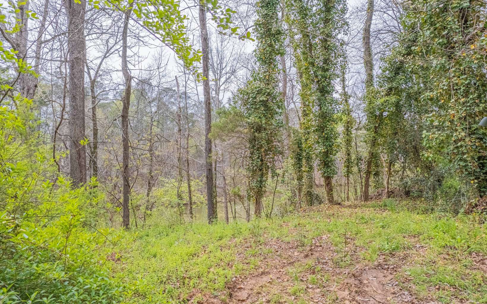 323923 Gainesville Lake Front Lot
