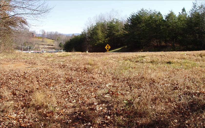 276124  Commercial Lot