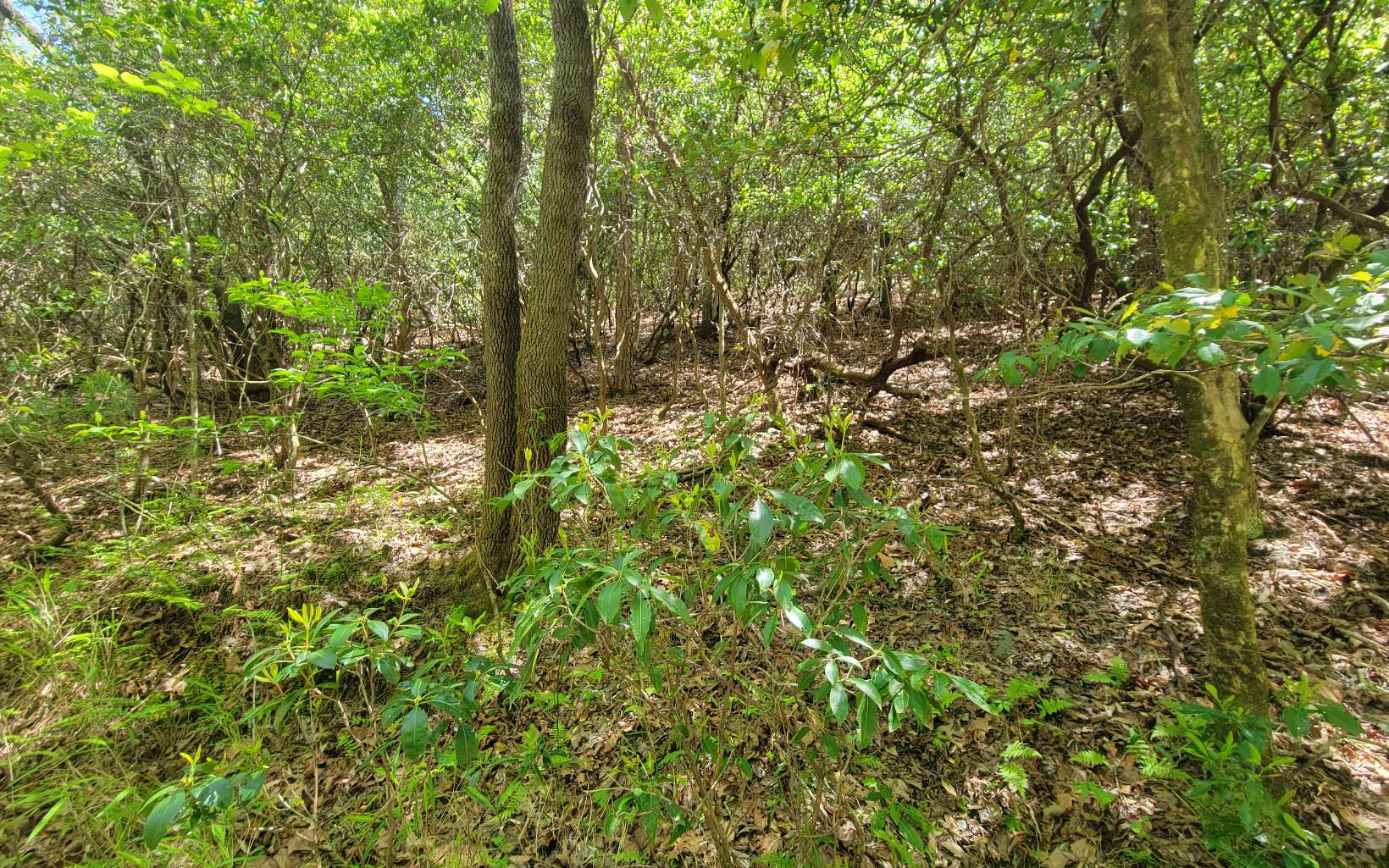326225 Hayesville River Access Lot