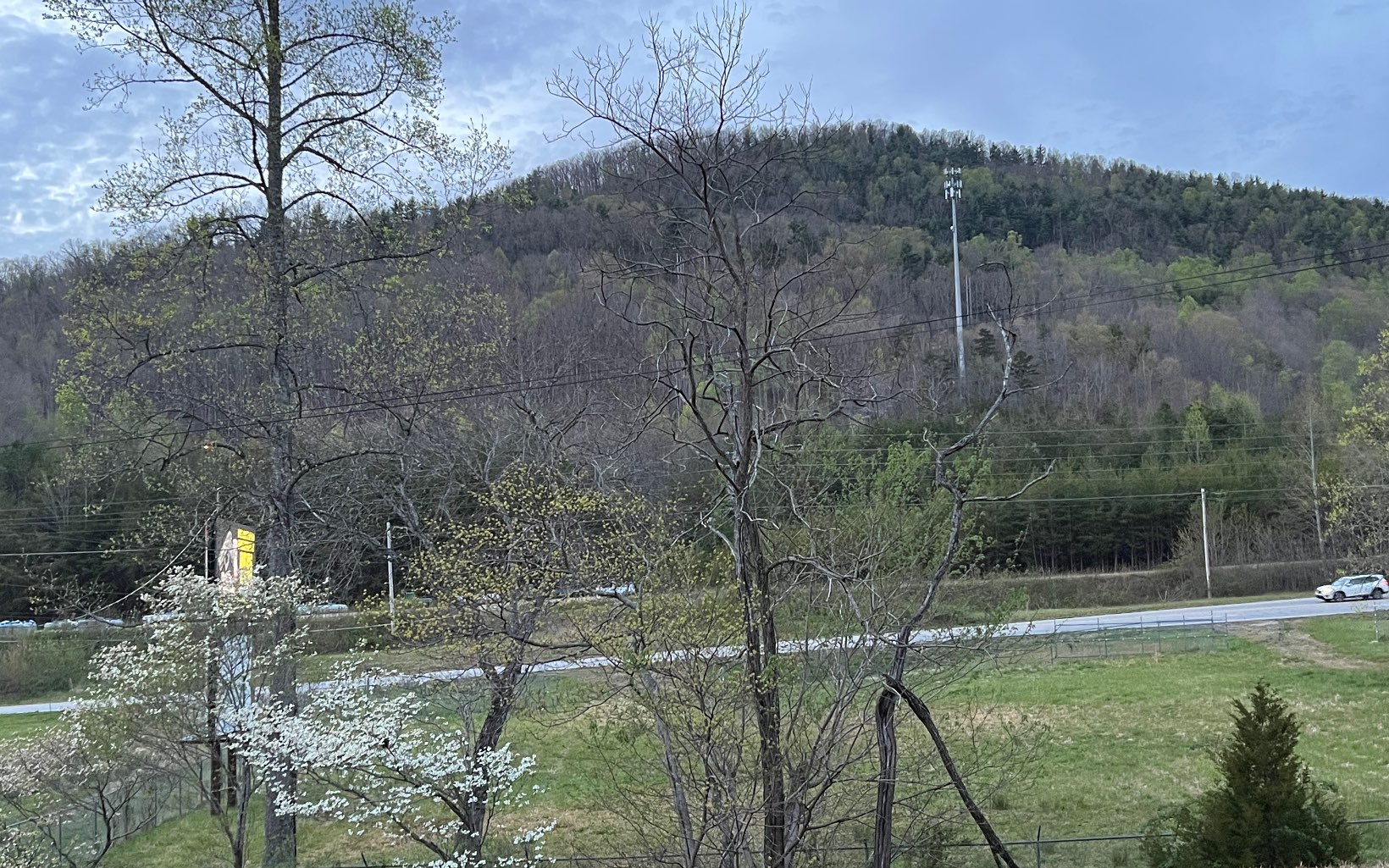 315426 Blairsville Commercial Lot