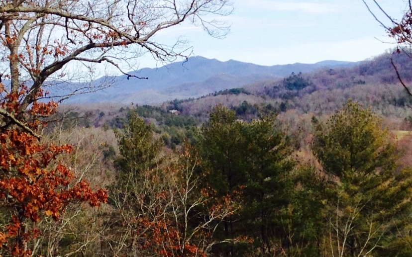 323936 Hayesville River Access Lot
