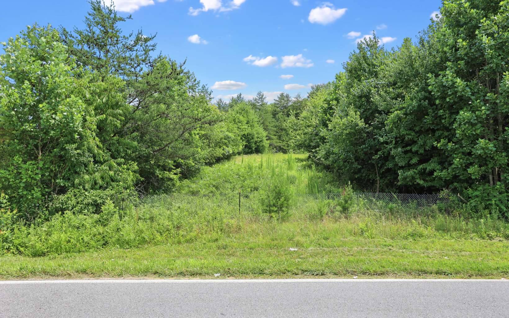 323741 Blairsville Commercial Lot