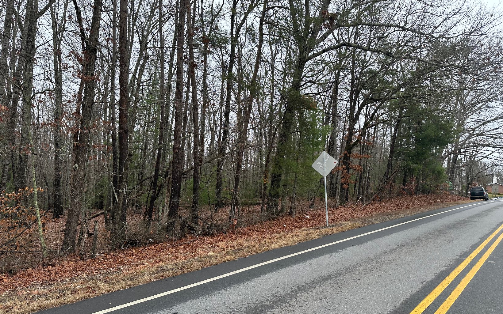 321581 Blairsville Commercial Lot