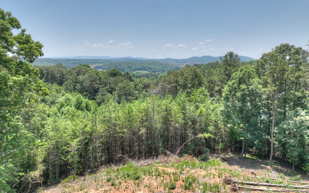 318790 Ellijay Subdivision being developed
