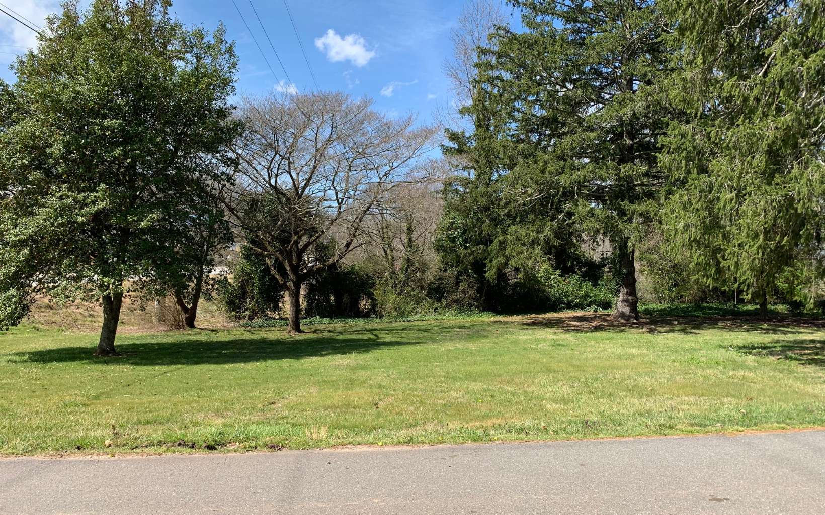 314693 Hiawassee Commercial Lot