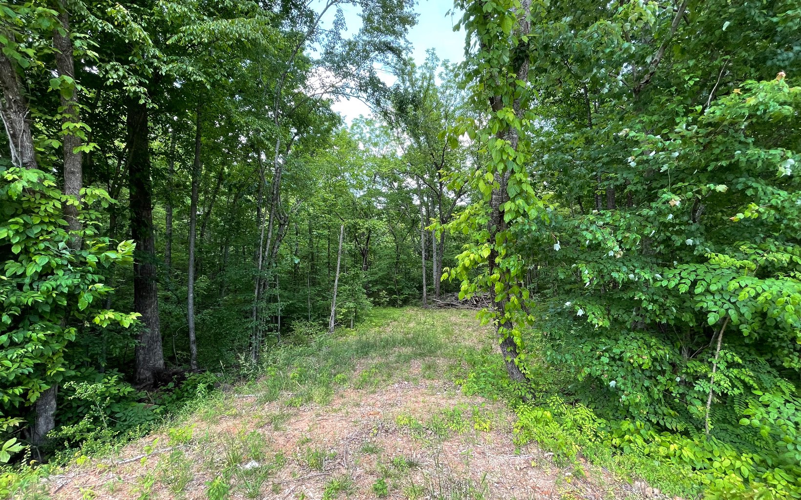 322995 Hiawassee Commercial Lot